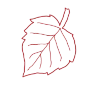 Декоративный элемент 20