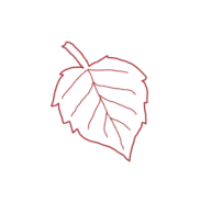 Декоративный элемент 21