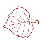 Декоративный элемент 28