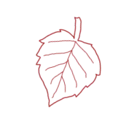 Декоративный элемент 6