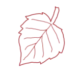 Декоративный элемент 9