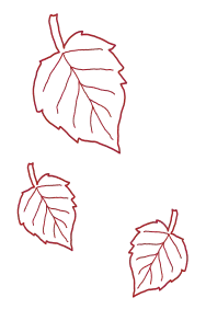 Декоративный элемент 15