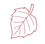 Декоративный элемент 29